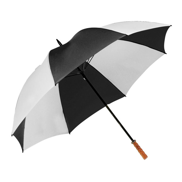 Picture of Virginia Umbrella