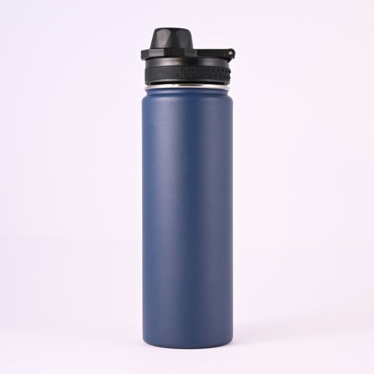 Picture of Mystique 650ml Stainless Steel Vacuum Bottle