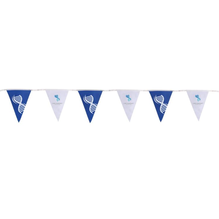 Picture of Custom PVC Pennant String Flags