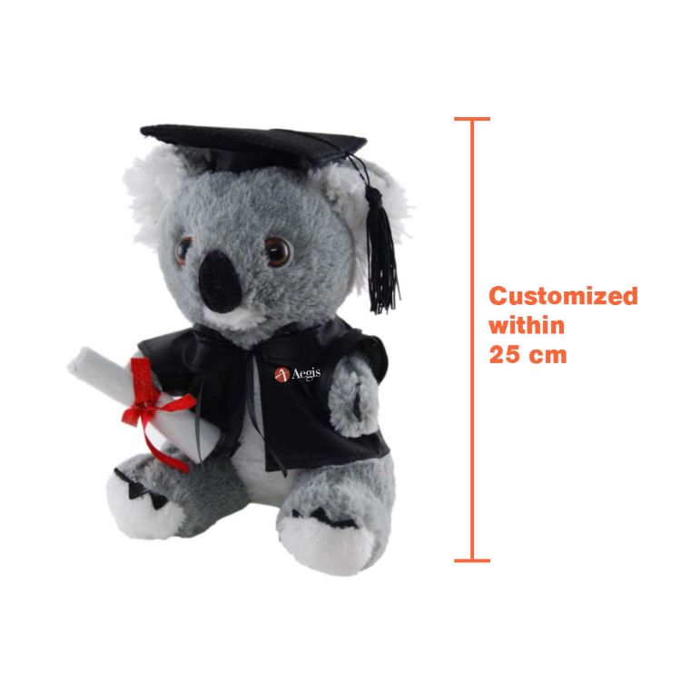 Picture of Custom Graduation Plush Toy
