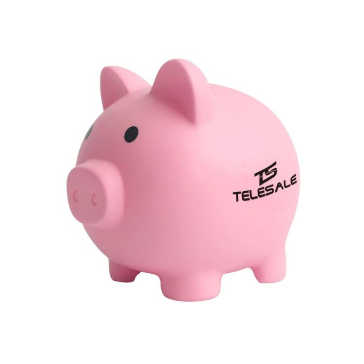 Picture of PVC Piggy Coin Bank