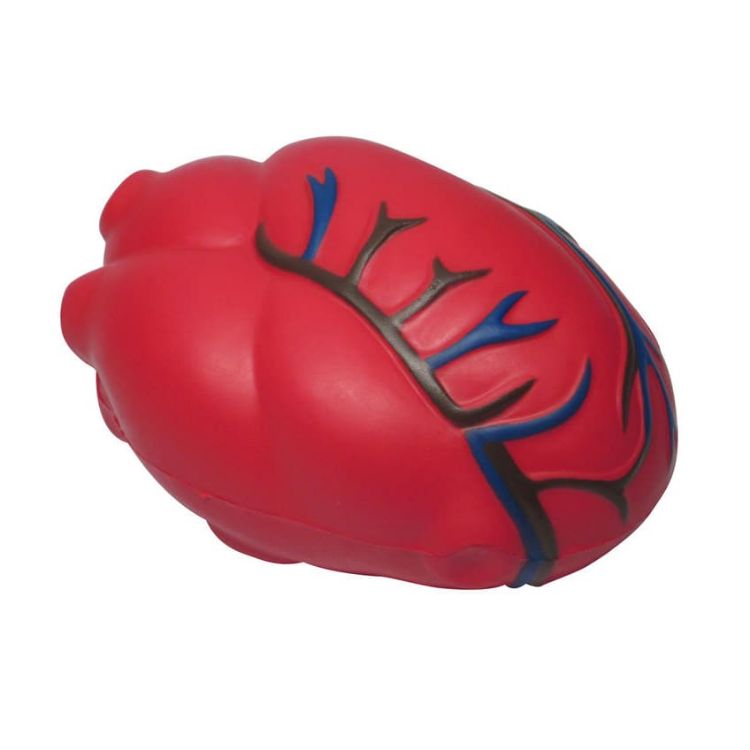 Picture of Cardiac Shape Stress Reliever