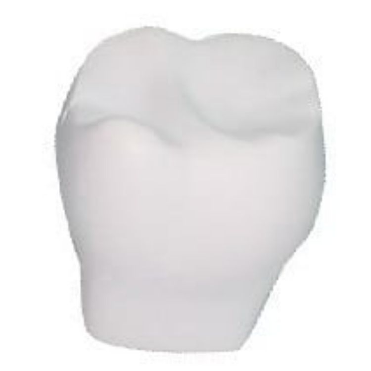 Picture of White Tooth Shape Stress Reliever