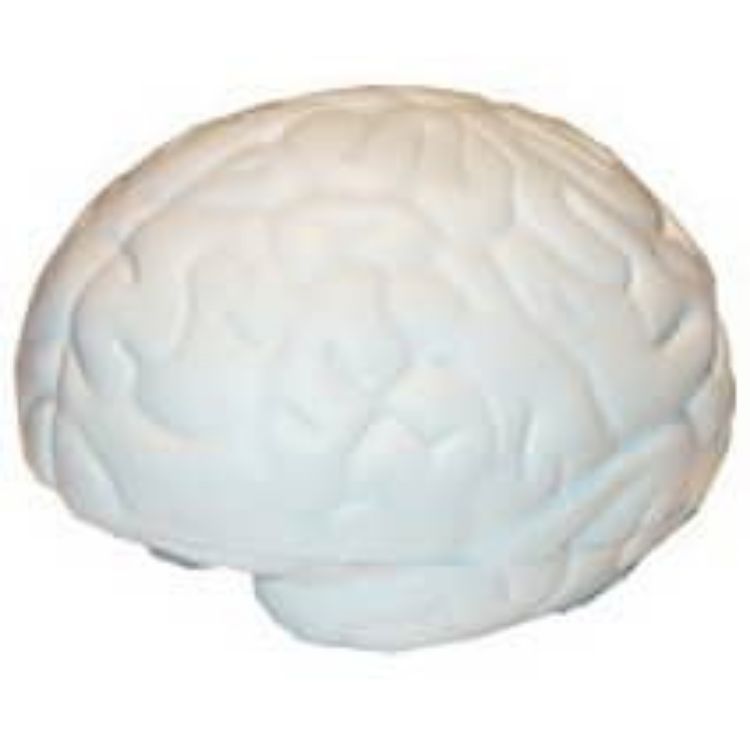 Picture of Large Brain Shape Stress Reliever