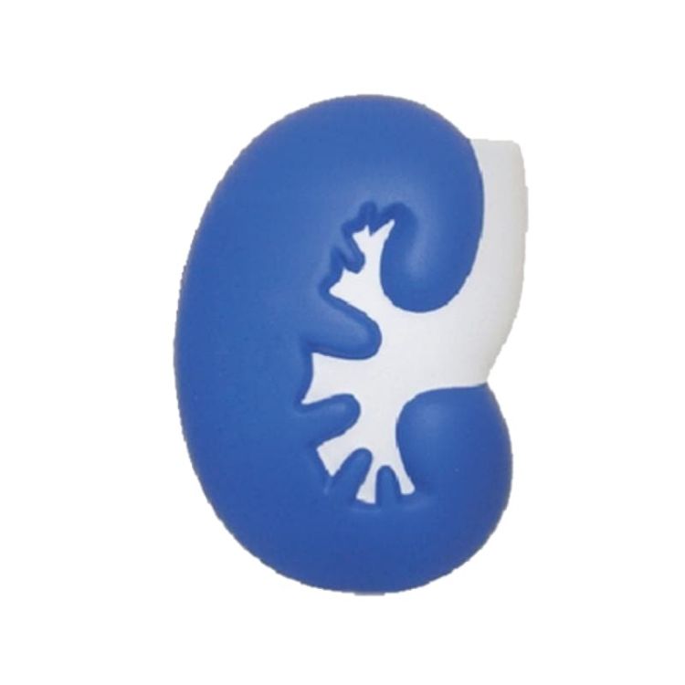 Picture of Large Kidney Shape Stress Reliever