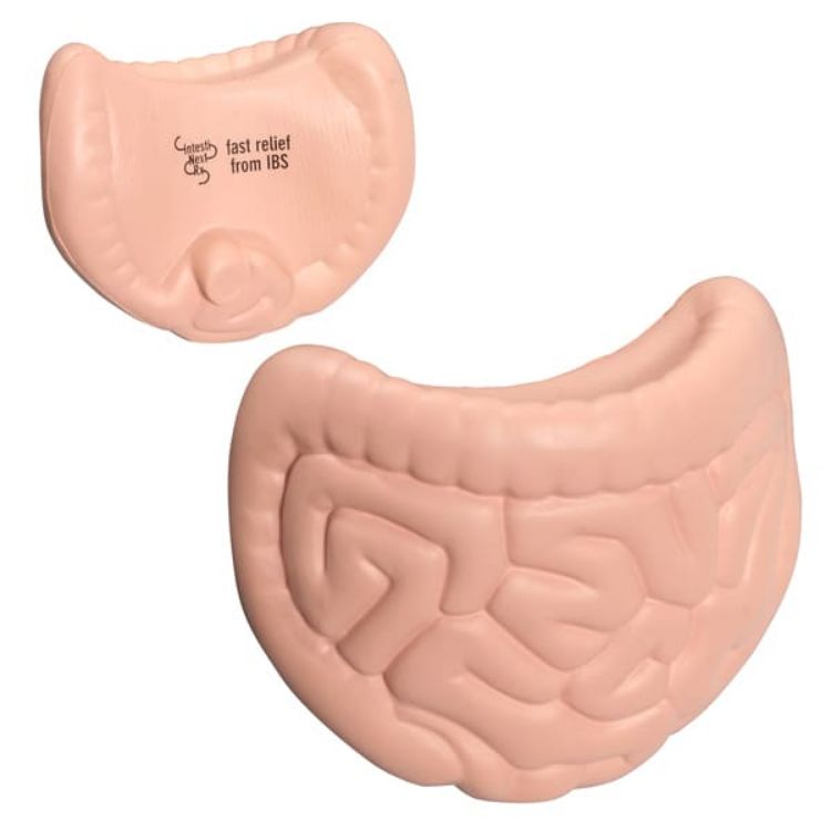 Picture of Intestines Shape Stress Reliever