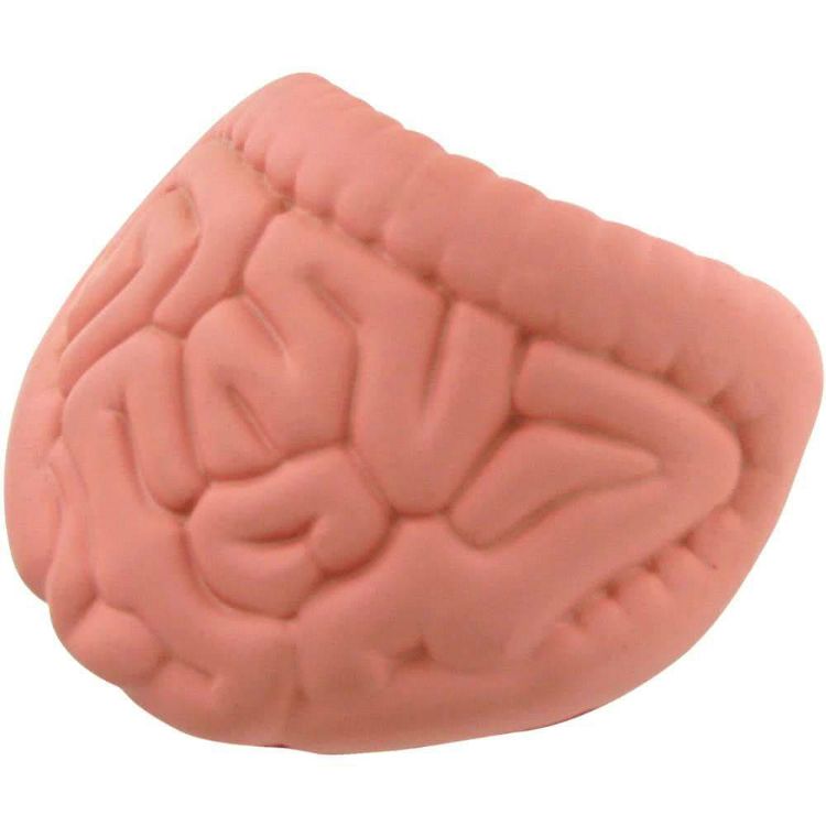 Picture of Intestines Shape Stress Reliever