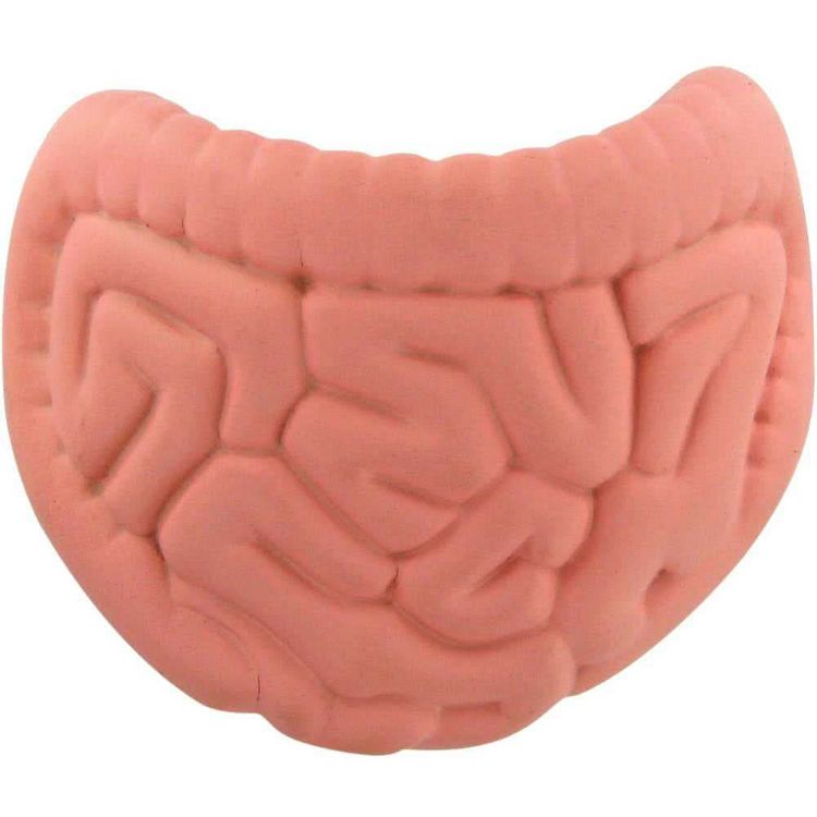 Picture of Intestines Shape Stress Reliever