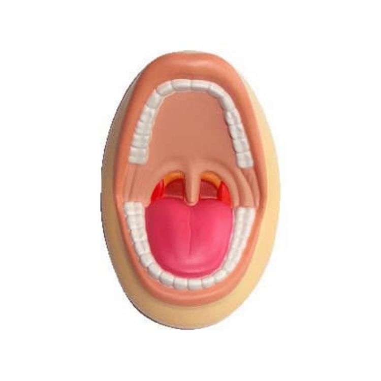 Picture of Mouth Shape Stress Reliever