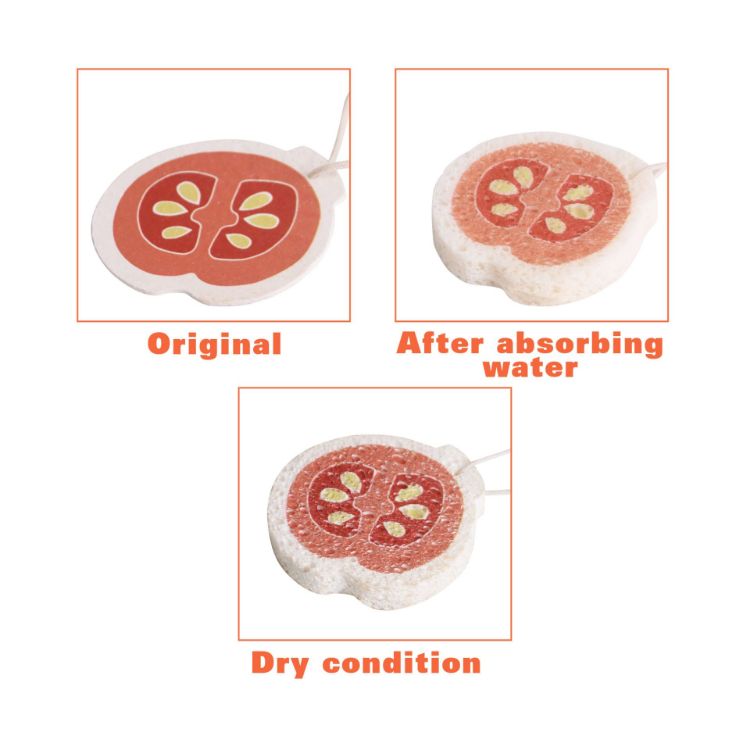 Picture of Custom Expandable Dishwashing Sponge