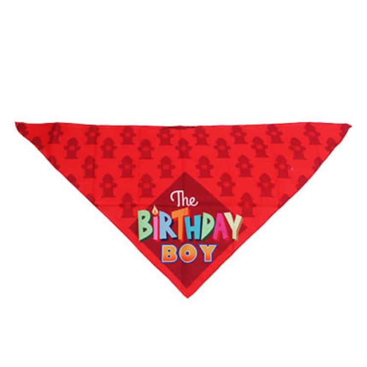 Picture of Triangle Pet Bandana