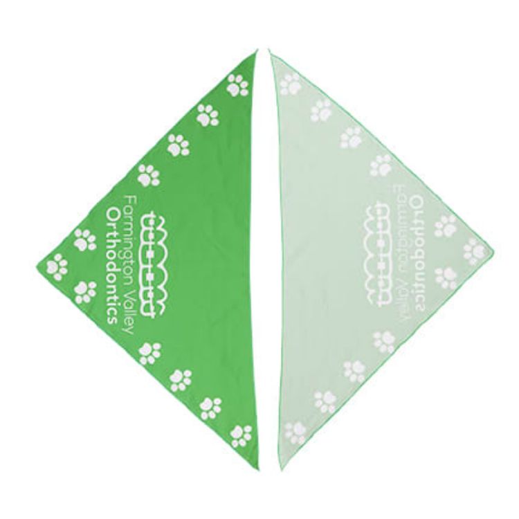 Picture of Triangle Pet Bandana