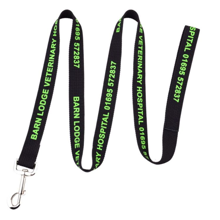 Picture of Polyester Dog Leash