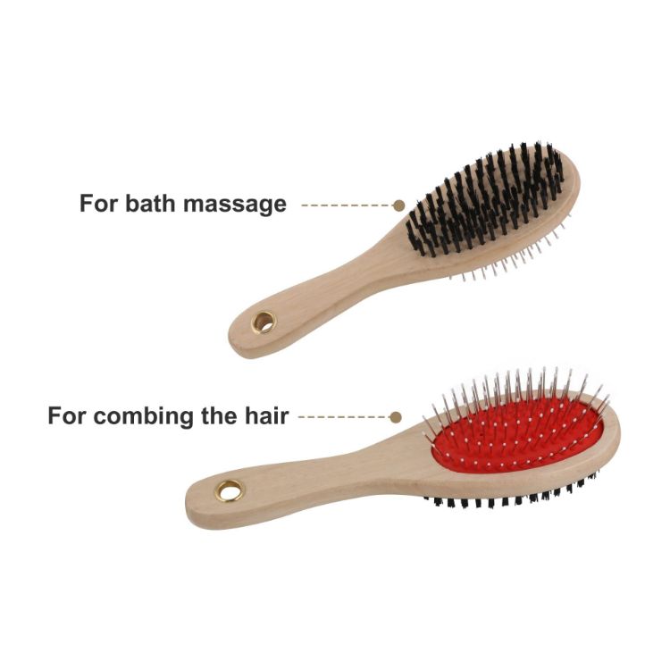 Picture of Pin and Bristle Pet Brush