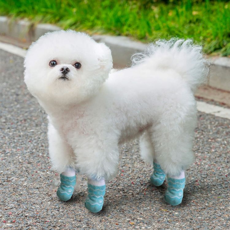 Picture of Pet Socks