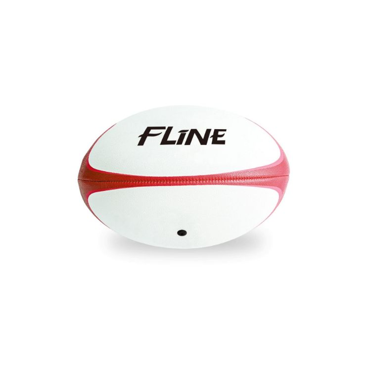 Picture of Training Rugby Ball
