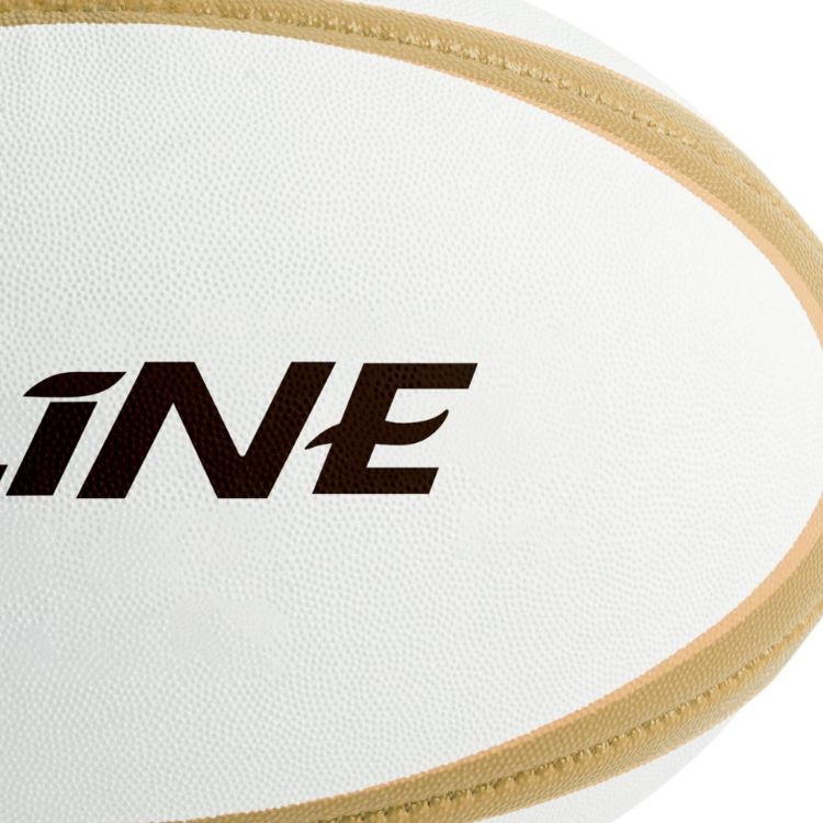 Picture of Training Rugby Ball