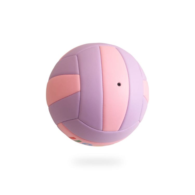 Picture of Volleyball