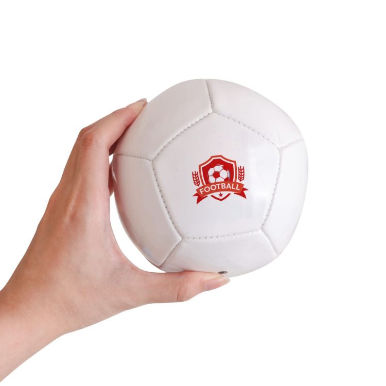 Picture of Mini Soccer Ball