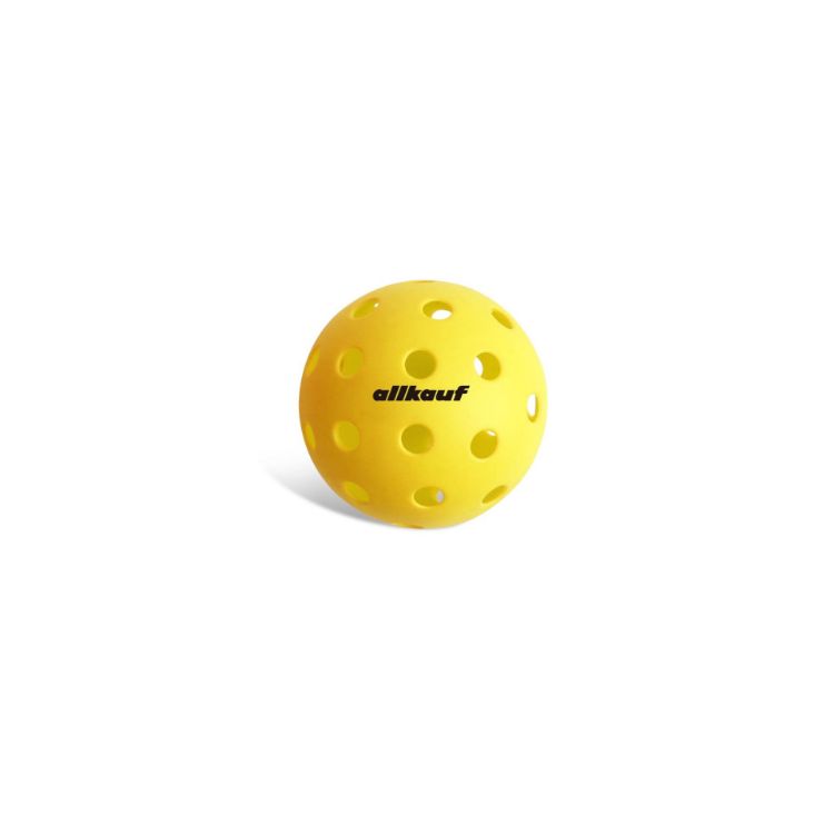 Picture of Pickleball