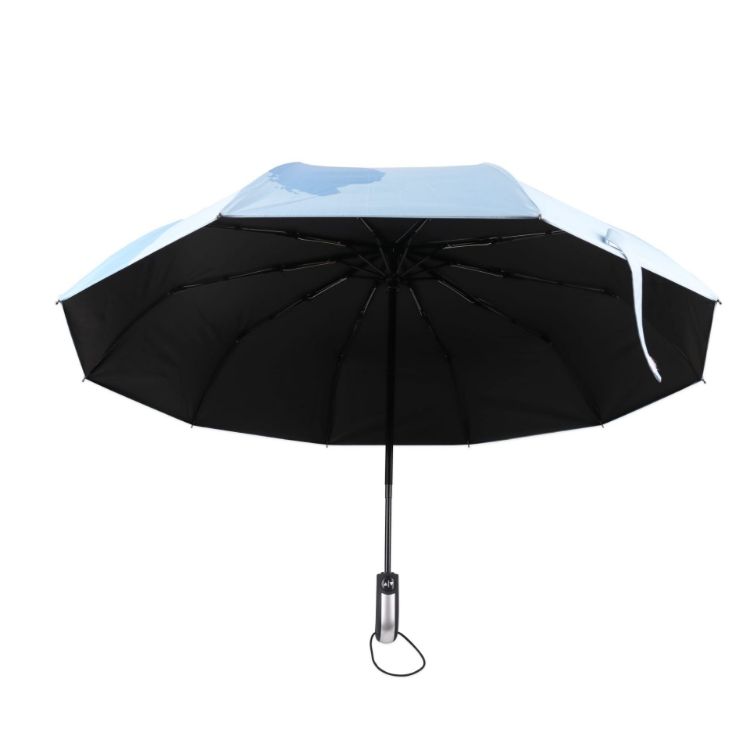 Picture of Folding Ten-Panel Digital Print Umbrella