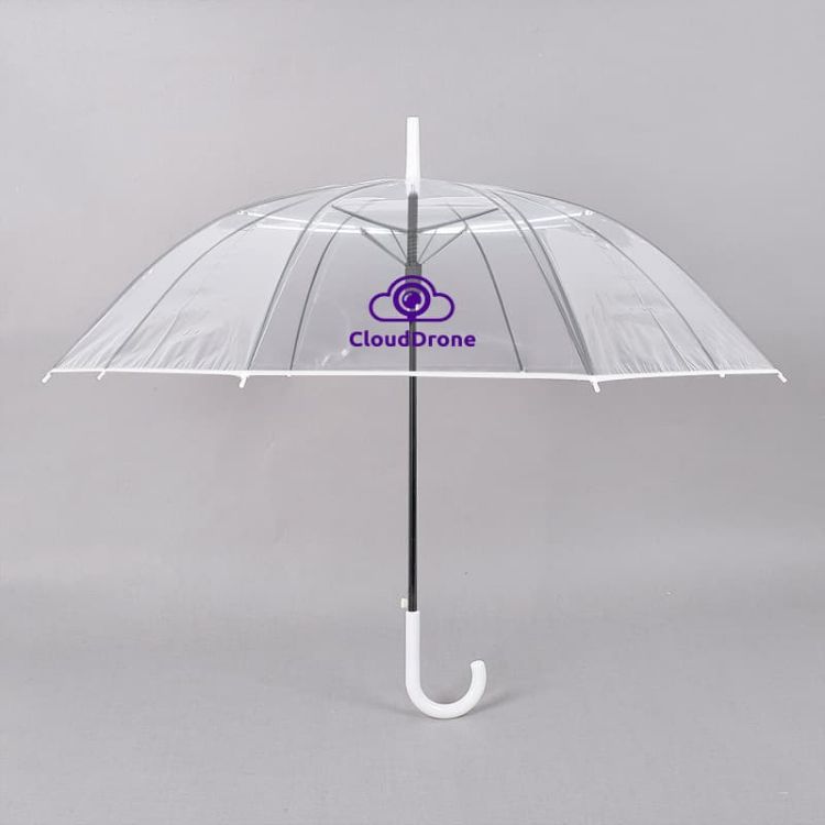 Picture of Transparent Eight-Panel Umbrella