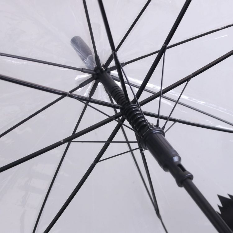 Picture of Transparent Eight-Panel Umbrella