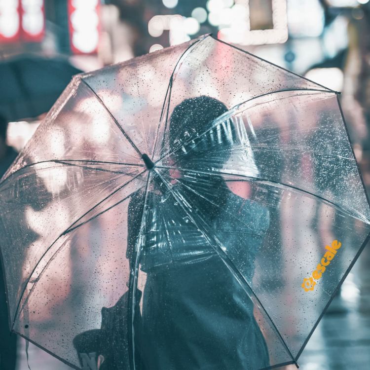 Picture of Transparent Eight-Panel Umbrella