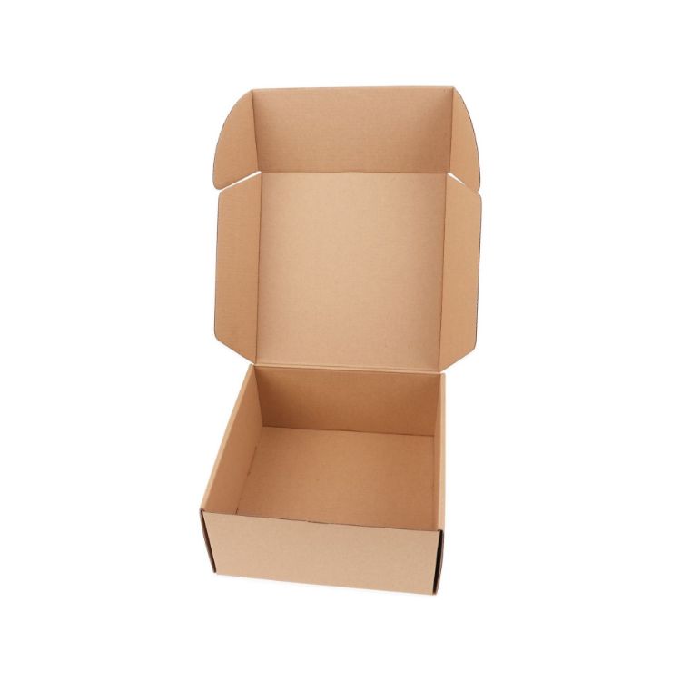 Picture of Small Shipper Box