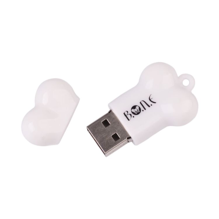 Picture of Bone Shaped Flash Drive