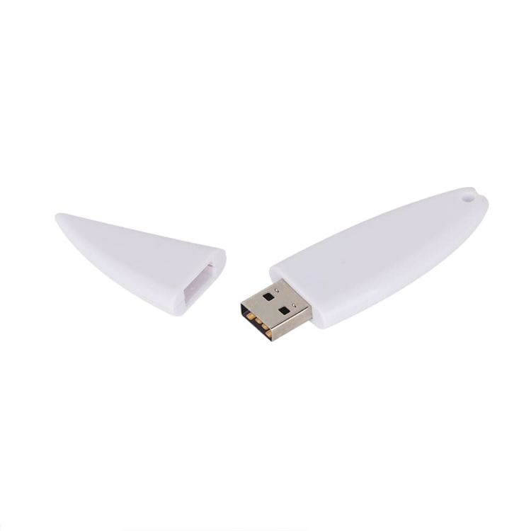 Picture of Surfboard Flash Drive