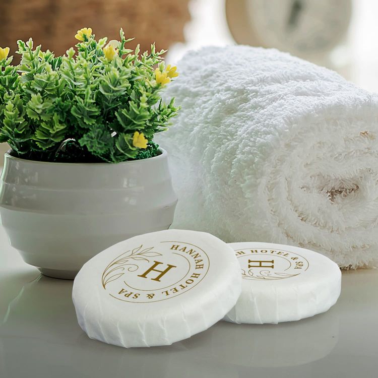 Picture of Salon Travel Soap
