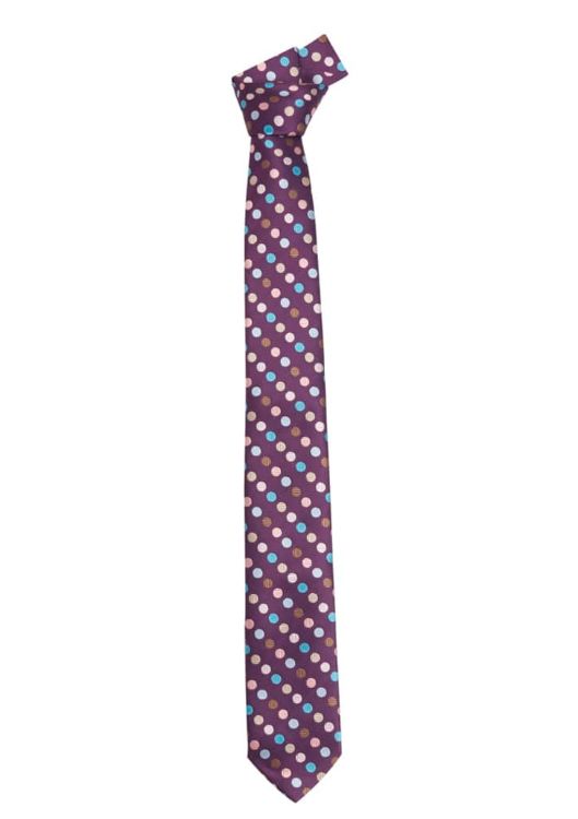 Picture of Mens Multi Spot Tie