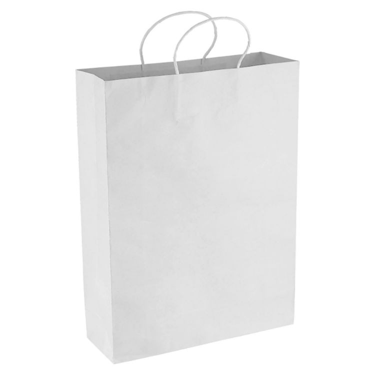 Picture of Paper Kraft Shopping Bag