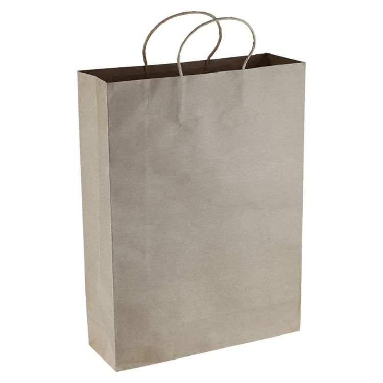 Picture of Paper Kraft Shopping Bag