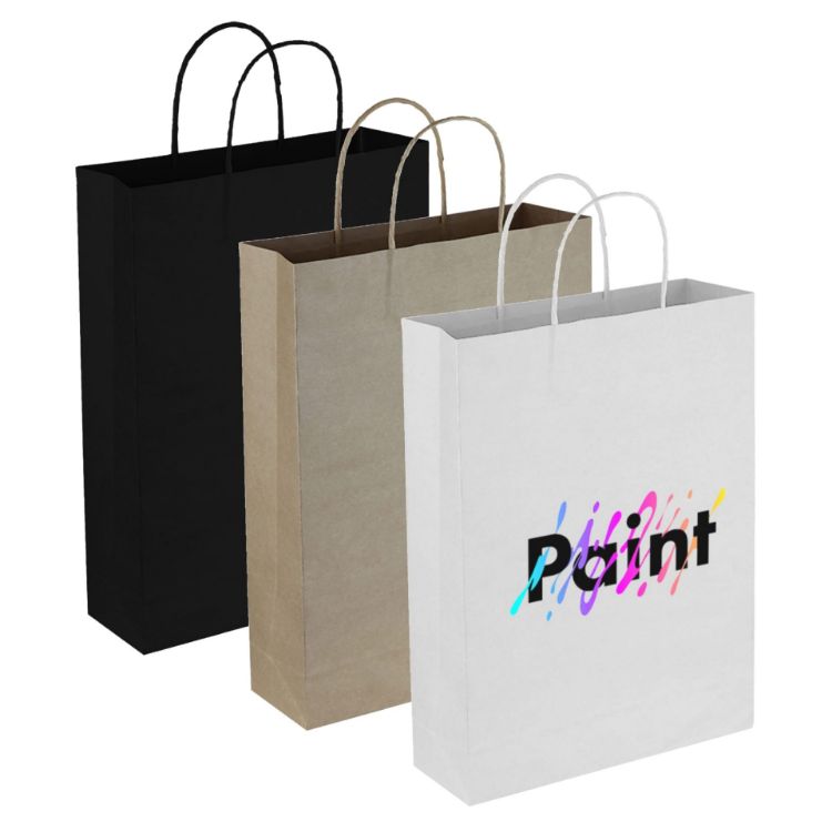 Picture of Paper Trade Show Bag