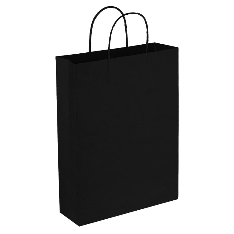 Picture of Paper Trade Show Bag