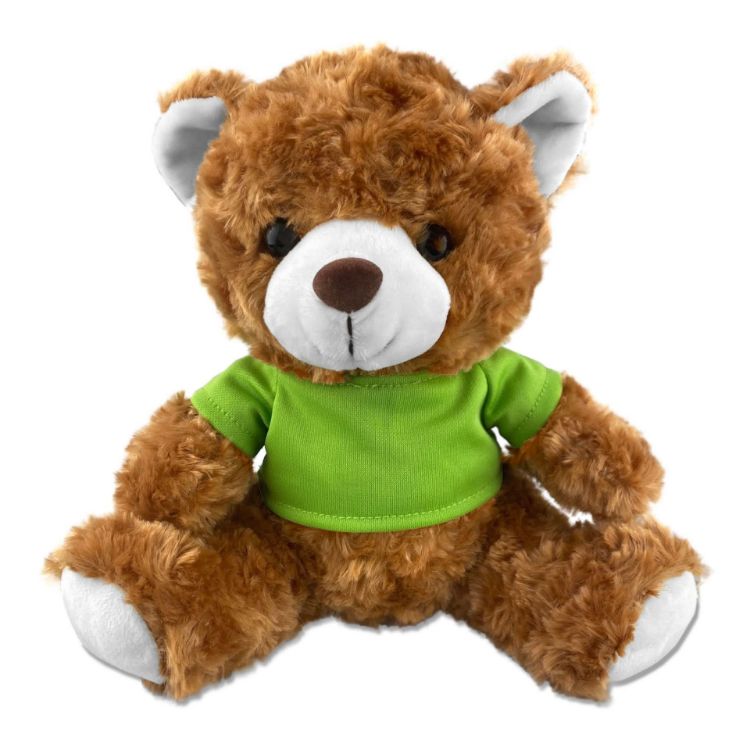 Picture of Teddy Bear Plush