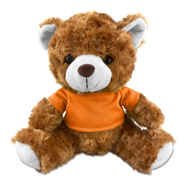 Picture of Teddy Bear Plush