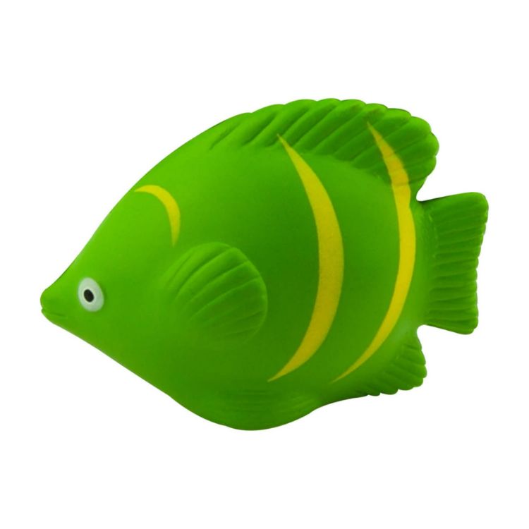 Picture of Stress Tropical Fish