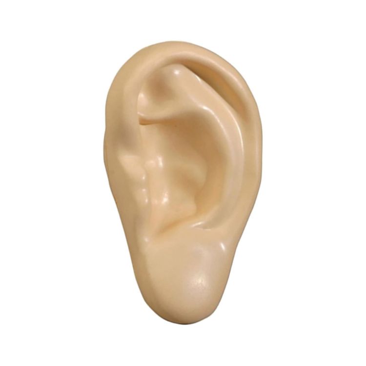 Picture of Stress Ear