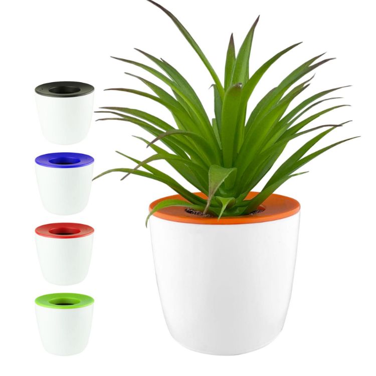 Picture of Mini Desk Plant Pot