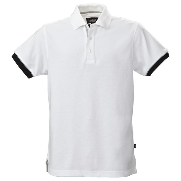 Picture of Anderson Men's Cotton Polo