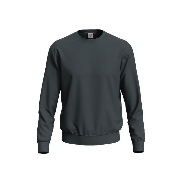 Picture of Men's Sweatshirt