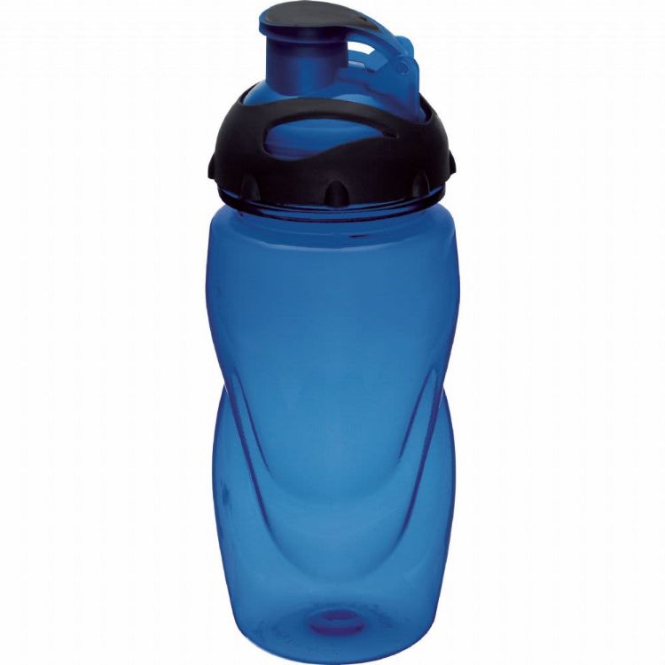 Picture of Gobi 500ml Sports Bottle