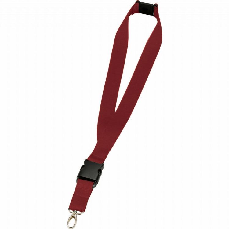 Picture of Hang In There Lanyard