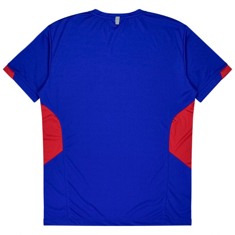 Picture of TASMAN MENS TEES