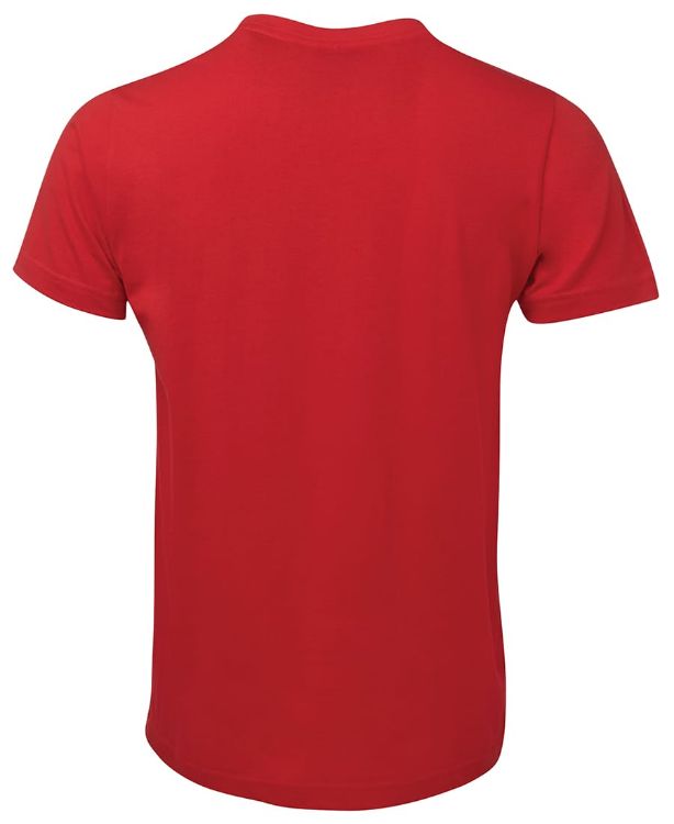 Picture of C of C Fitted Tee