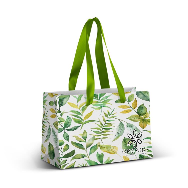 Picture of Small Ribbon Handle Paper Bag - Full Colour