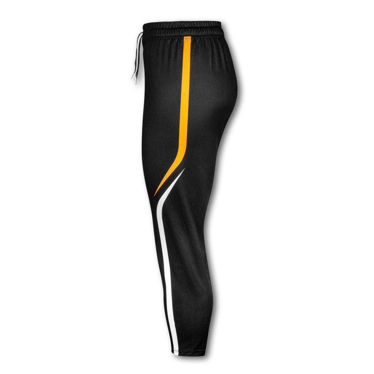 Picture of Custom Womens Sports Pants